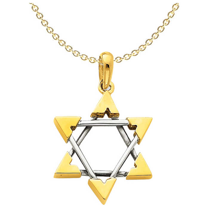 14K Two-Tone Gold Jewish Star of David with Textured Menorah Pendant Necklace 